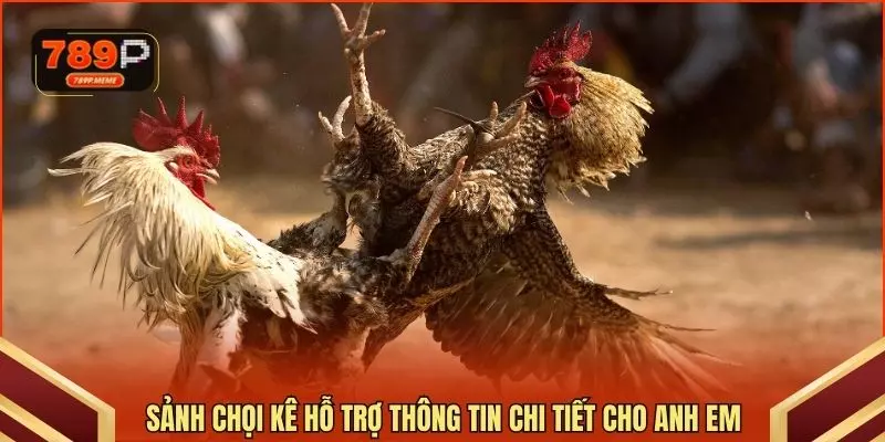 Sảnh chọi kê hỗ trợ thông tin chi tiết cho anh em