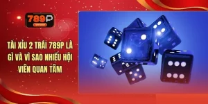 Tài Xỉu 2 Trái 789P Là Gì Và Vì Sao Nhiều Hội Viên Quan Tâm